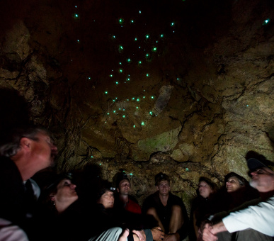 Фото Emirates One 50