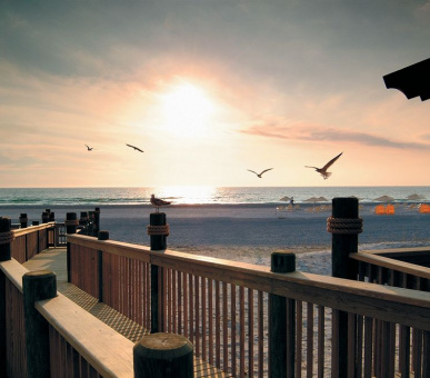 Картинка The Ritz Carlton Sarasota 6 Фото The Ritz Carlton Sarasota 6