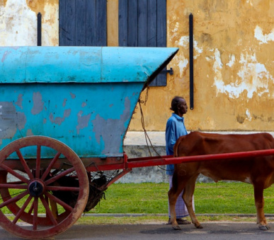 Картинка Amangalla (Шри Ланка, Южное побережье (Галле/Тангалле)) 19 Фото Amangalla (Шри Ланка, Южное побережье (Галле/Тангалле)) 19
