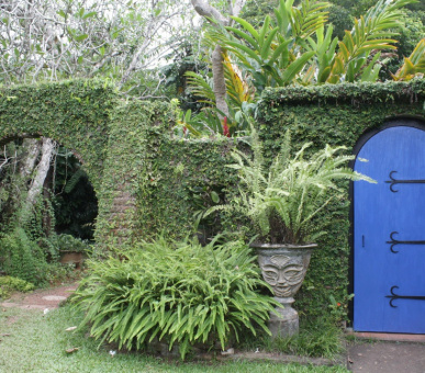 Фото Vivanta by Taj - Bentota (Шри Ланка, Юго-Западное побережье) 24