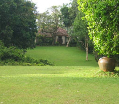 Картинка 9 Фото 9