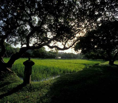 Картинка 17 Фото 17