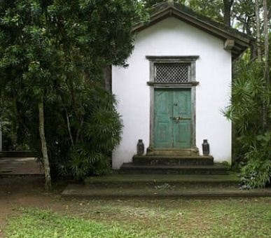 Картинка 13 Фото 13