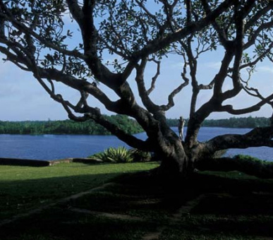 Картинка 10 Фото 10