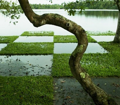 Картинка 16 Фото 16