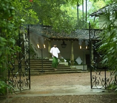 Картинка 11 Фото 11