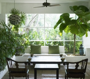 Картинка 5 Фото 5