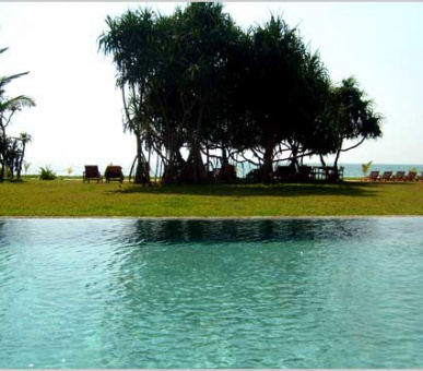 Картинка Temple Tree Resort 6 Фото Temple Tree Resort 6