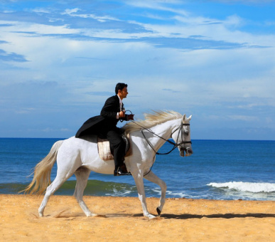 Фото The Blue Water (Шри Ланка, Юго-Западное побережье) 7