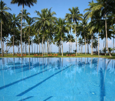 Фото The Blue Water (Шри Ланка, Юго-Западное побережье) 13