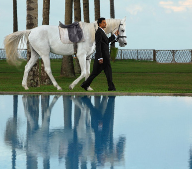 Фото The Blue Water (Шри Ланка, Юго-Западное побережье) 17