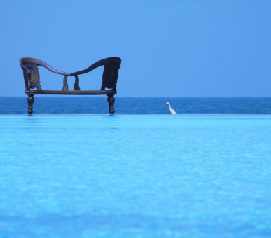 Картинка Heritance Ahungalla (Шри Ланка, Юго-Западное побережье) 11 Фото Heritance Ahungalla (Шри Ланка, Юго-Западное побережье) 11