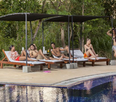 Картинка Elephant Corridor (Шри Ланка, Cигирия) 32 Фото Elephant Corridor (Шри Ланка, Cигирия) 32