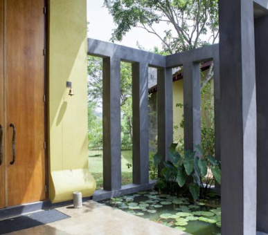 Картинка Elephant Corridor (Шри Ланка, Cигирия) 16 Фото Elephant Corridor (Шри Ланка, Cигирия) 16