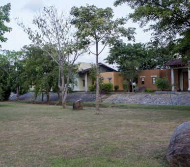 Картинка Elephant Corridor (Шри Ланка, Cигирия) 25 Фото Elephant Corridor (Шри Ланка, Cигирия) 25