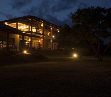 Картинка Elephant Corridor (Шри Ланка, Cигирия) 39 Фото Elephant Corridor (Шри Ланка, Cигирия) 39