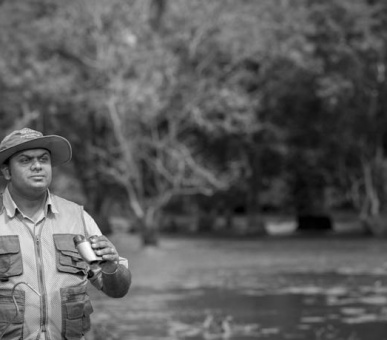 Картинка Elephant Corridor (Шри Ланка, Cигирия) 21 Фото Elephant Corridor (Шри Ланка, Cигирия) 21