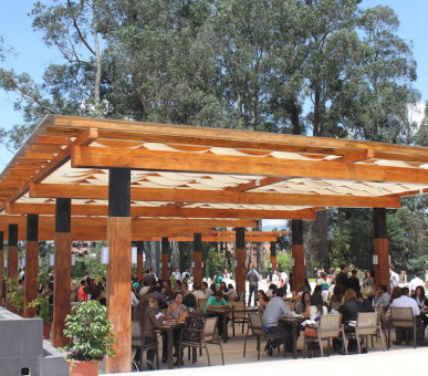 Картинка Oro Verde Cuenca (Эквадор, Куэнка) 17 Фото Oro Verde Cuenca (Эквадор, Куэнка) 17