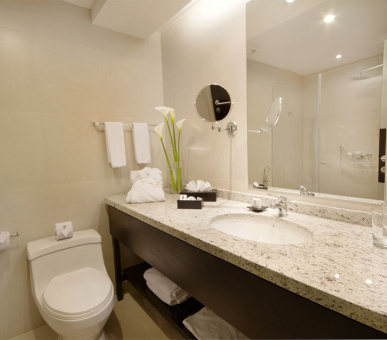 Картинка Oro Verde Cuenca (Эквадор, Куэнка) 9 Фото Oro Verde Cuenca (Эквадор, Куэнка) 9