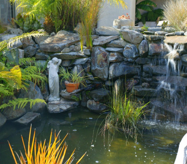 Картинка Delamore Lodge (Waiheke Island) (Новая Зеландия, О-ва Вайхеке и Большой Барьер) 26 Фото Delamore Lodge (Waiheke Island) (Новая Зеландия, О-ва Вайхеке и Большой Барьер) 26