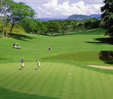 Картинка 13 Фото 13