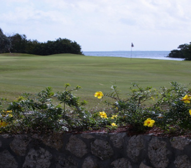 Фото Grand Cayman Beach Suites (, Каймановы острова) 16