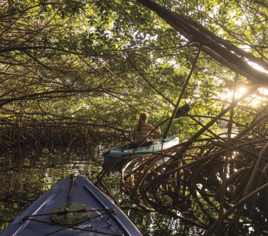 Фото The Ritz-Carlton Grand Cayman (, Каймановы острова) 47