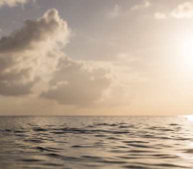 Фото The Ritz-Carlton Grand Cayman (, Каймановы острова) 54