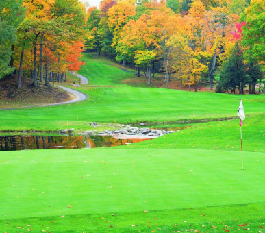 Картинка 5 Фото 5