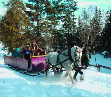 Фото Fairmont Le Manoir Richelieu (Канада, Горы Лаврентия, штат Квебек) 30