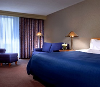 Картинка 6 Фото 6