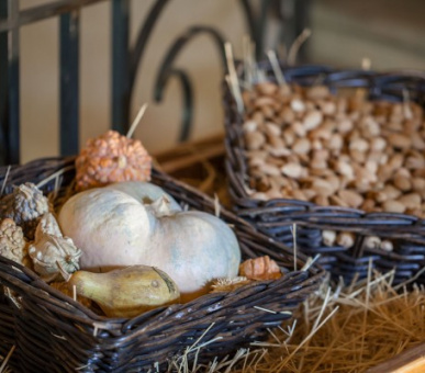 Картинка Le Moulin de Lourmarin 14 Фото Le Moulin de Lourmarin 14