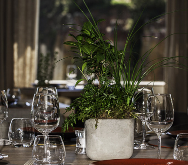 Фото Le Clos de la Glycine 14