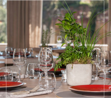 Фото Le Clos de la Glycine 11