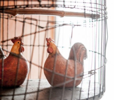 Картинка La Bastide de Moustiers 54 Фото La Bastide de Moustiers 54