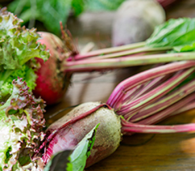 Картинка La Bastide de Moustiers 35 Фото La Bastide de Moustiers 35