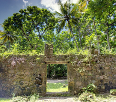 Картинка Anse Chastanet (, Сент-Люсия) 22 Фото Anse Chastanet (, Сент-Люсия) 22