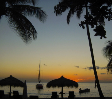 Картинка Anse Chastanet (, Сент-Люсия) 9 Фото Anse Chastanet (, Сент-Люсия) 9