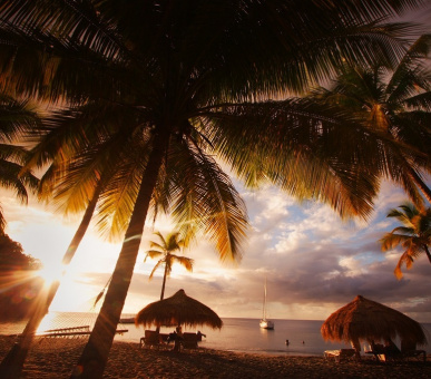 Картинка Anse Chastanet (, Сент-Люсия) 19 Фото Anse Chastanet (, Сент-Люсия) 19