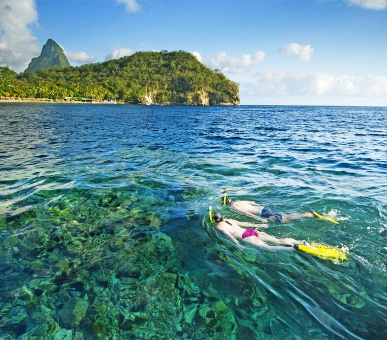 Картинка Anse Chastanet (, Сент-Люсия) 25 Фото Anse Chastanet (, Сент-Люсия) 25