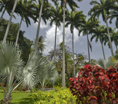 Фото The Fairmont Royal Pavilion (, Барбадос) 32