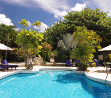 Картинка The Sandpiper (, Барбадос) 31 Фото The Sandpiper (, Барбадос) 31