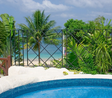 Картинка The Sandpiper (, Барбадос) 5 Фото The Sandpiper (, Барбадос) 5