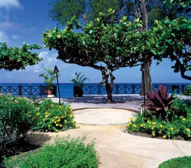 Картинка The Sandpiper (, Барбадос) 8 Фото The Sandpiper (, Барбадос) 8