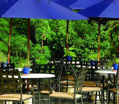 Картинка The Sandpiper (, Барбадос) 22 Фото The Sandpiper (, Барбадос) 22