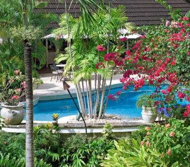 Картинка The Sandpiper (, Барбадос) 6 Фото The Sandpiper (, Барбадос) 6