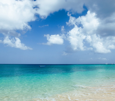 Картинка The Sandpiper (, Барбадос) 27 Фото The Sandpiper (, Барбадос) 27