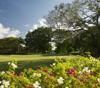 Картинка Sandy Lane (, Барбадос) 37 Фото Sandy Lane (, Барбадос) 37