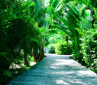 Картинка Hotel Saint-Barth Isle de France (Сен-Бартельми, Сен-Бартельми) 27 Фото Hotel Saint-Barth Isle de France (Сен-Бартельми, Сен-Бартельми) 27