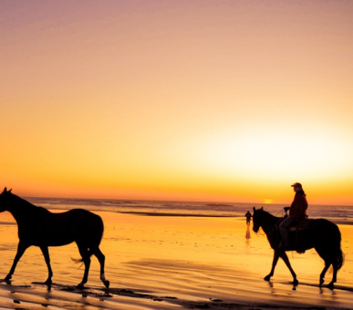 Картинка Carl Gustaf (, Сен-Бартельми) 46 Фото Carl Gustaf (, Сен-Бартельми) 46